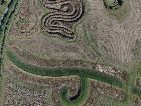 Luftaufnahme eines Labyrinthmusters in einem Feld auf dem Land — Stockfoto