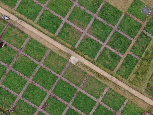 Luftaufnahme mit Blick auf neue Schrebergärten und einen Kiesweg — Stockfoto