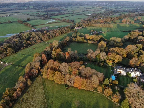 Corfe Mullen yakınlarındaki kırsal alan manzarası, Dorset tarlaları ve ormanı gözetliyor.