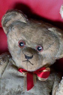 an old sad looking teddy bear in close up with a red and gold bow