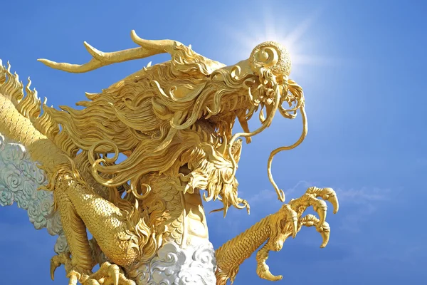 Kinesisk gylden drage - Stock-foto