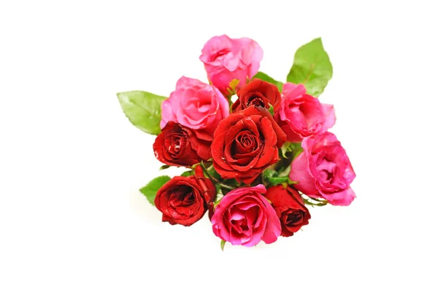 Rose for valentine day — Stock Photo, Image