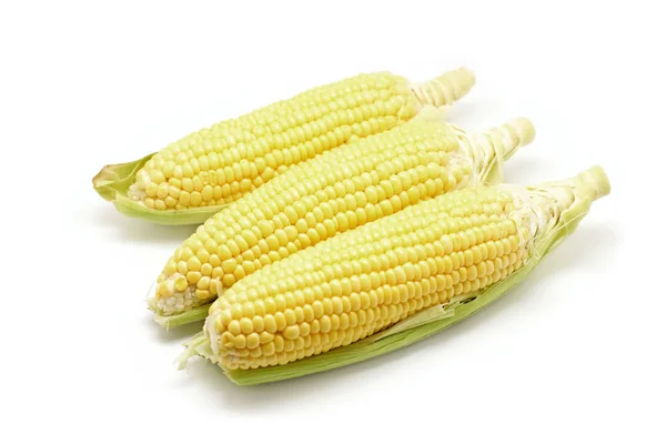 Sweet corns isolated on white background — Stock Photo, Image