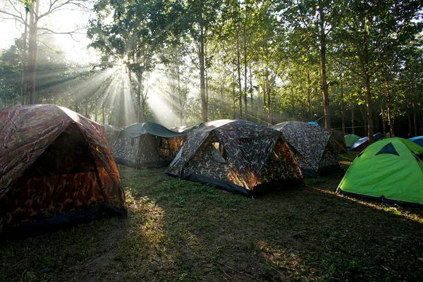 Camping Namioty na kempingu — Zdjęcie stockowe