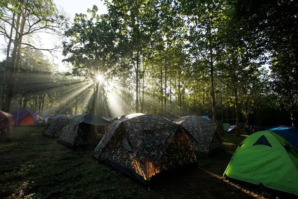 Tiendas de campaña en un camping — Foto de Stock