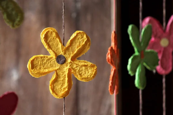 Fiore di carta gelso — Foto Stock