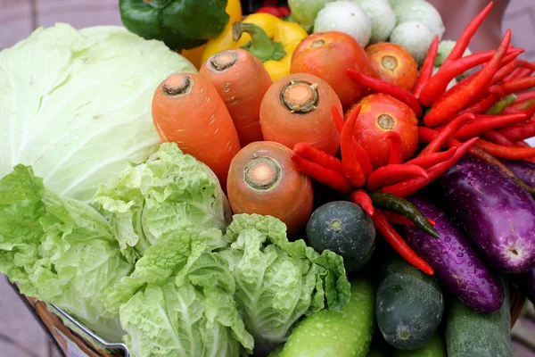 Carrot radish cucumber cabbage and chilli — Stock Photo, Image