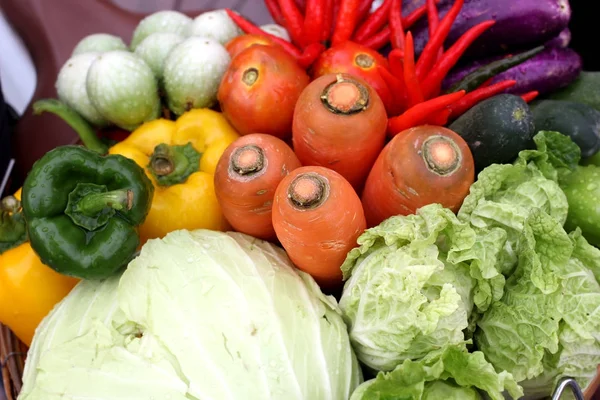 Carrot radish cucumber cabbage and chilli — Stock Photo, Image