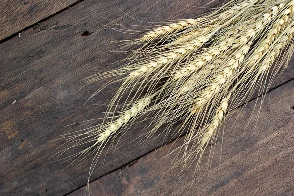 kurutulmuş buğday kulaklar