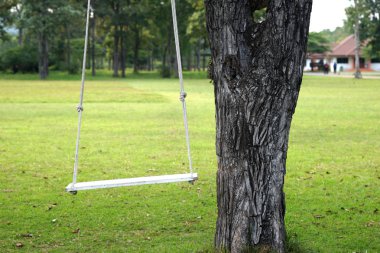 boş ağacı salıncak