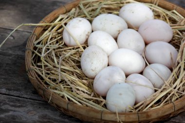 ördek yumurta hasır sepetleri