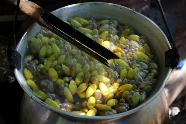 Haşlanmış ipekböceği geleneksel folkways Tayland