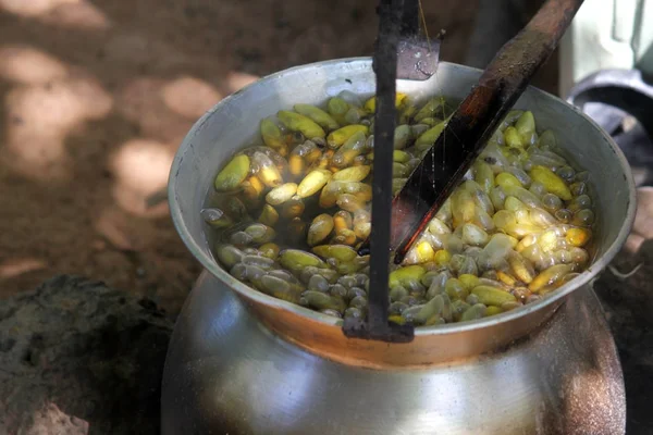 Haşlanmış ipekböceği geleneksel folkways Tayland