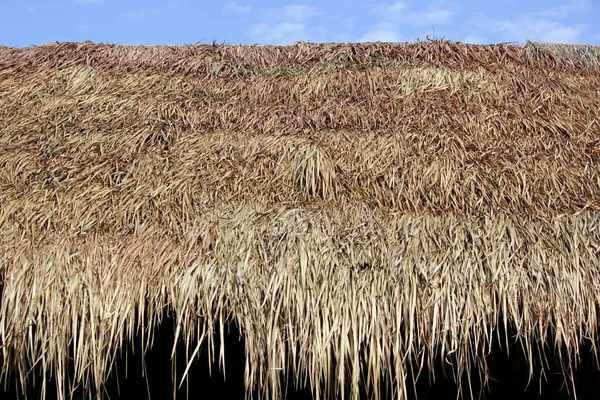 Halmtak på en stuga som är tillverkad av torrt gräs — Stockfoto