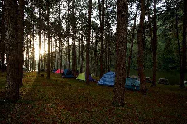 Палатки для кемпинга на открытом воздухе возле озера — стоковое фото