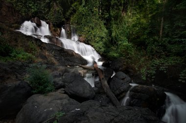 Yeşil ormanda güzel bir şelale