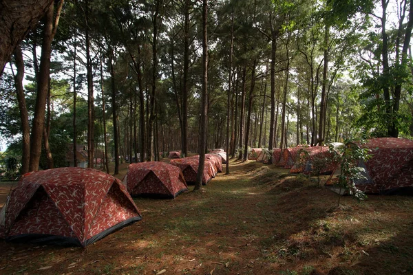 Pila de tiendas de campaña en el camping — Foto de Stock