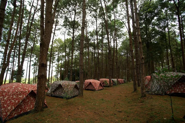 Куча палаток для кемпинга на территории кемпинга — стоковое фото