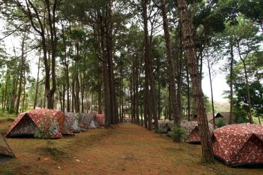 kamp yeri, kamp çadırları yığını