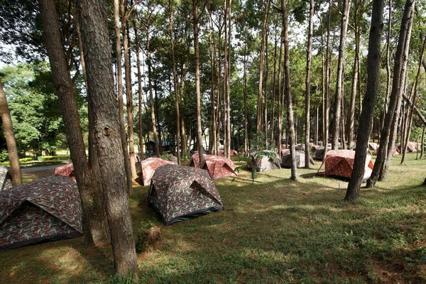 Kupie camping namioty przy kempingu — Zdjęcie stockowe