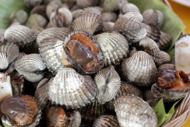 Beyazlatılmış istiridye balık buğulama