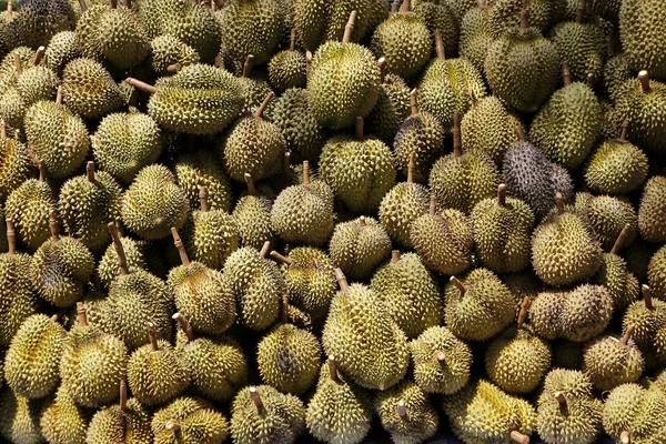 Hromada durian čeká na odeslání ovoce trhu — Stock fotografie