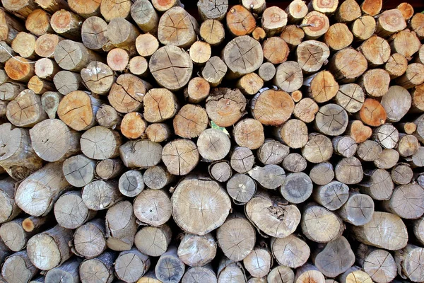 Дерев'яний пень як фон або текстура — стокове фото