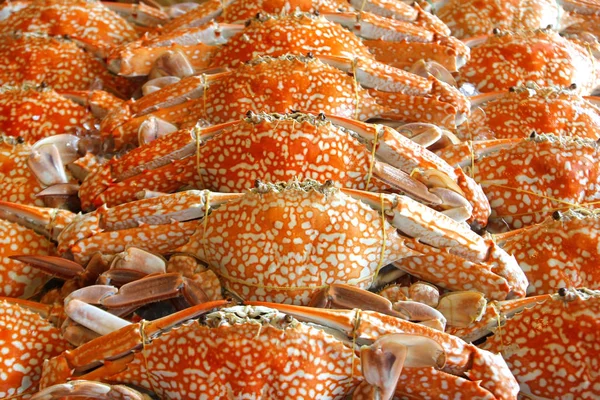 Frische Krabben für die Zubereitung von Meeresfrüchten — Stockfoto