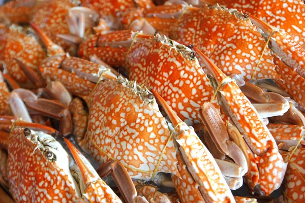 Frische Krabben für die Zubereitung von Meeresfrüchten — Stockfoto