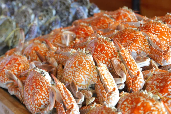 Свежий краб для приготовления морепродуктов — стоковое фото