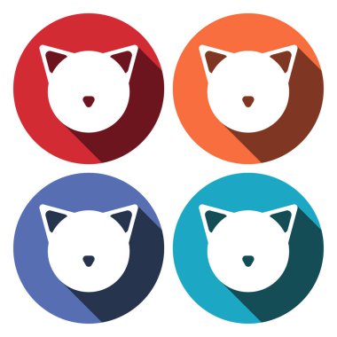 Kedi suratlı ikon düz. Renkli arka planda gölgeli basit beyaz resim. Vektör illüstrasyon sembolü