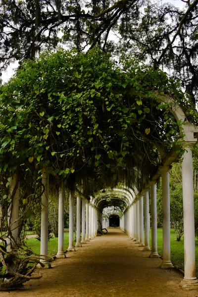 Rio de Janeiro 'da bir parktaki doğal tünel