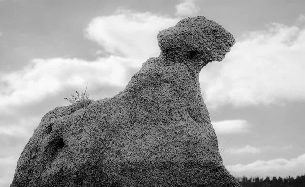 Sphinx Looking rock