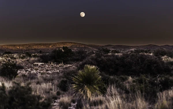"ニューメキシコの砂漠の月" ロイヤリティフリーのストック写真