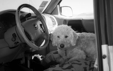 Fotoğrafçı bekliyor