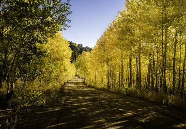 Colorado Golden Backwoods yolu
