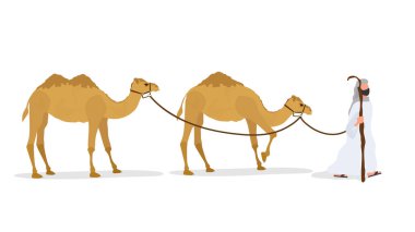 Camel caravan isolated on white background. A shepherd leads a camel. Vector.