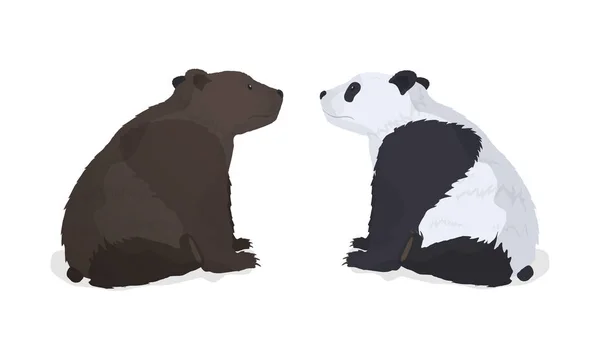棕熊和熊猫在白色背景下被隔离 矢量说明 — 图库矢量图片