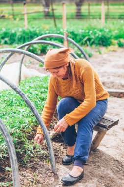 Olgun kadın alanında çalışan 