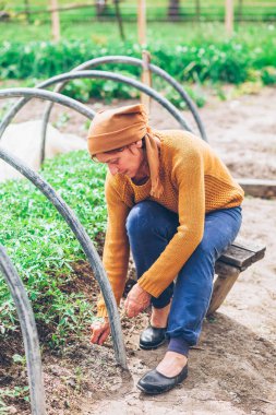 Olgun kadın alanında çalışan 