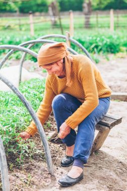Olgun kadın alanında çalışan 