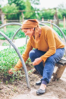 Olgun kadın alanında çalışan 
