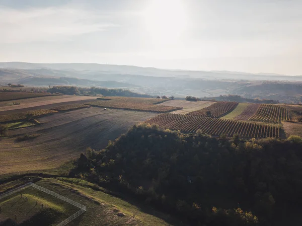 Widok na winnice — Zdjęcie stockowe