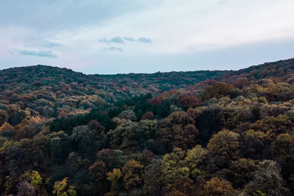 Вид Воздуха Лес Осенью — стоковое фото
