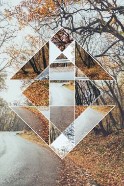 Orman sonbahar ve kutsal geometri sembolü, kolaj resim