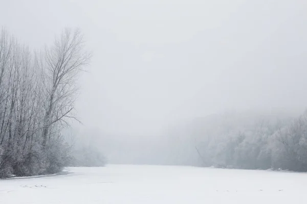 Paesaggio Invernale Ghiaccio Fiume Ghiacciato Bellissimi Alberi Ricoperti Gelo Sulla — Foto Stock