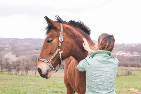 Hermosa Joven Unión Rancho Con Caballo Marrón —  Fotos de Stock