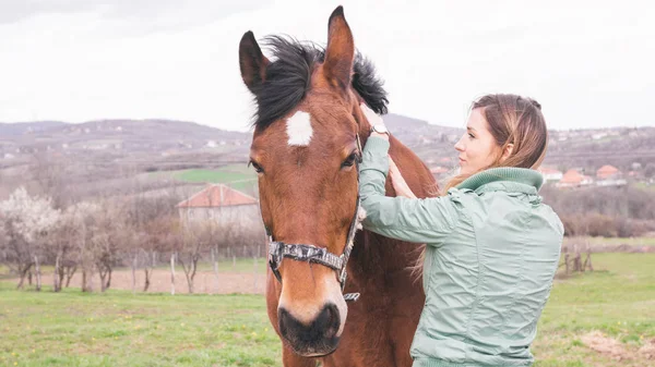 Güzel genç kadın kahverengi bir atı ile bağ çiftlikte