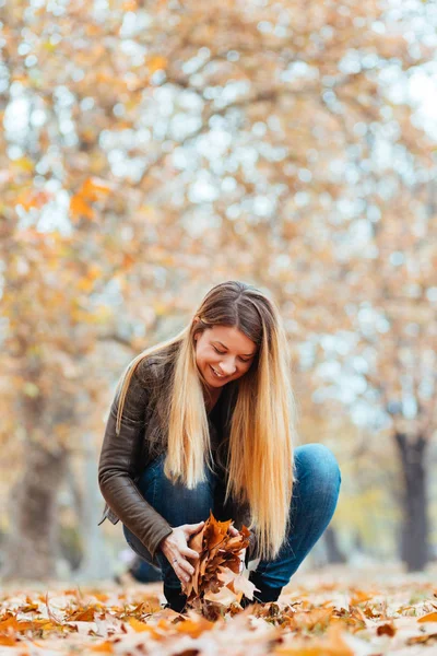 Young Woman Collecting Yellow Autumn Leaves Park — Stock Photo, Image