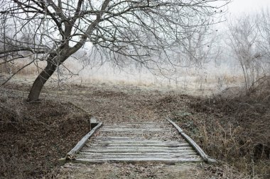 Kış zamanı ormanda donmuş bir köy köprüsü.